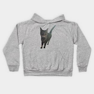 Alert Tabby Kids Hoodie